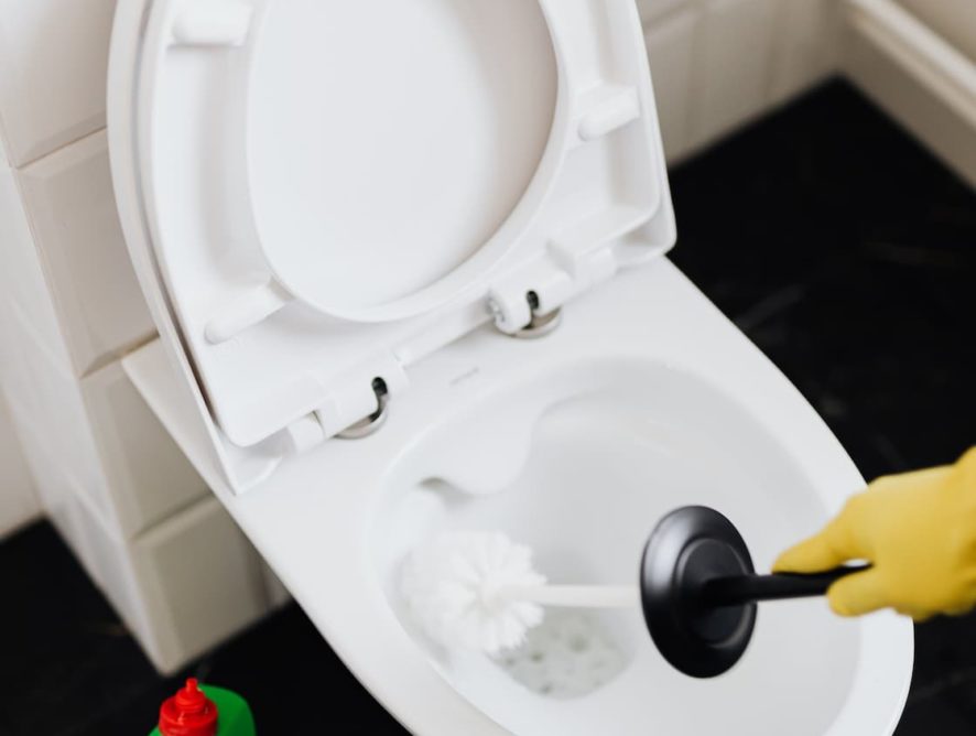 Toiletbørsten: En uundværlig hygiejnisk hjælper til dit badeværelse